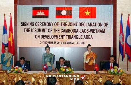 Премьеры Вьетнама, Лаоса и Камбоджи договорились расширить сотрудничество Треугольника развития - ảnh 1